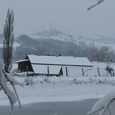 Bauernhof Flucher-plaschg Farm stay