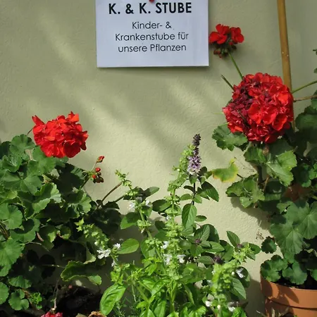 Farm stay Bauernhof Flucher-plaschg Straden