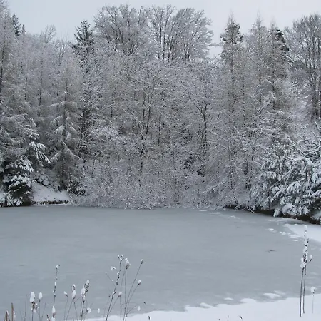 Çiftlik konaklama Bauernhof Flucher-plaschg