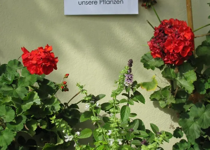 팜스테이 Bauernhof Flucher-plaschg Straden