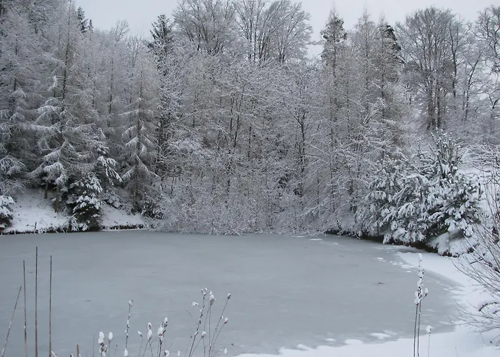 팜스테이 Bauernhof Flucher-plaschg